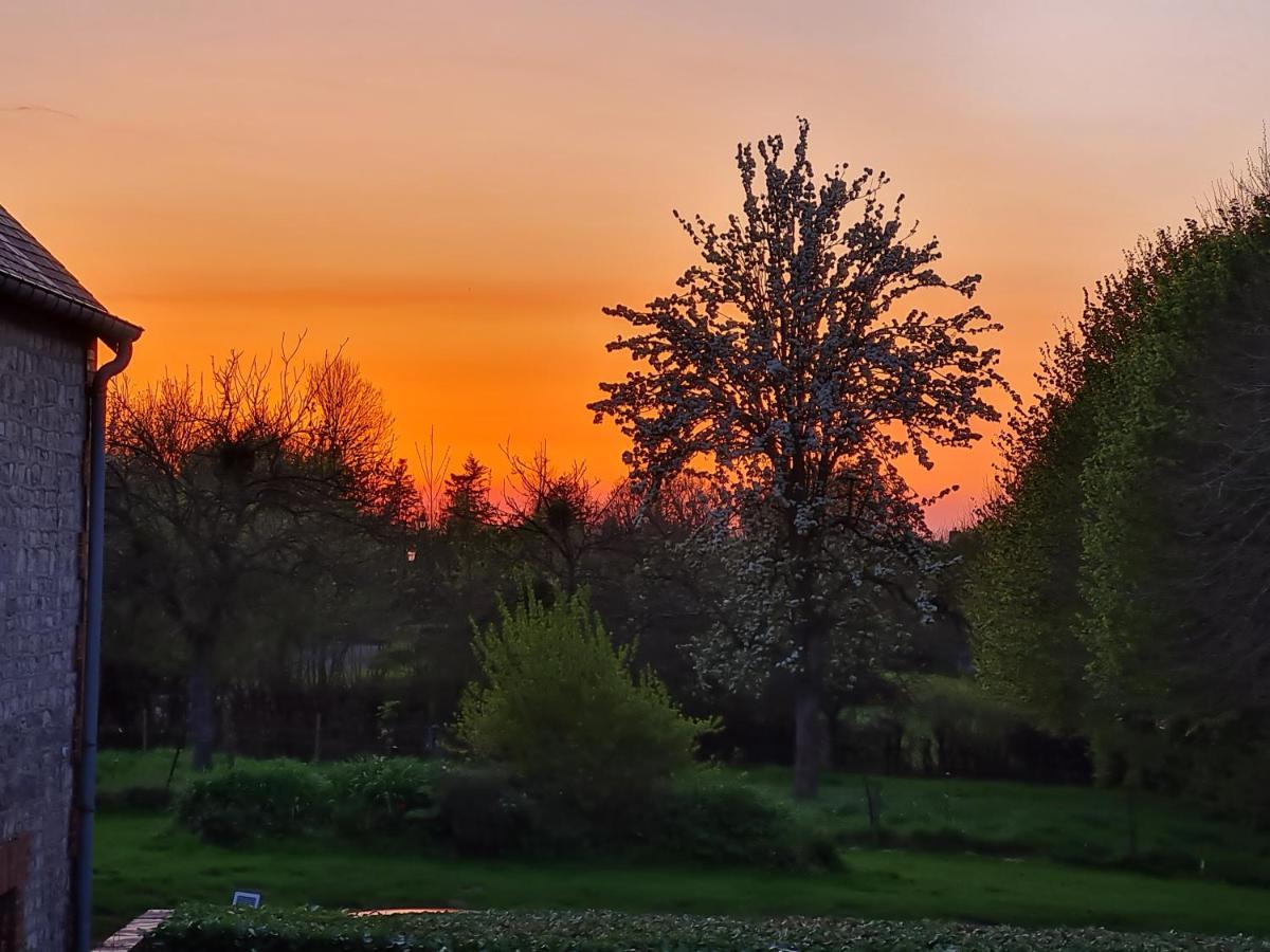 Domaine De La Cour Vautier Bed & Breakfast Mandeville-en-Bessin Exterior photo